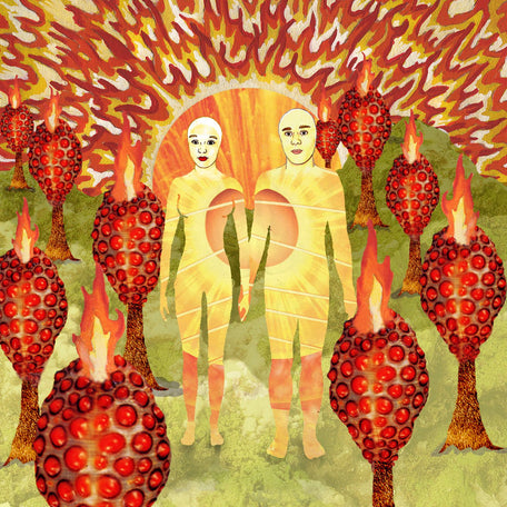of Montreal - "The Sunlandic Twins (20th Anniversary Edition)”